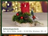 Adventsgesteck Angebote bei Pflanzen Kölle Öhringen für 20,00 €