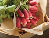 Radis Rose dans le catalogue Netto