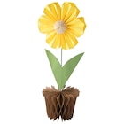 Ernstings family Schorndorf - Deko-Aufsteller Papierblume Angebot im Prospekt Deko-Aufsteller Papierblume bei Ernstings family im Schorndorf Prospekt für 5,99 €