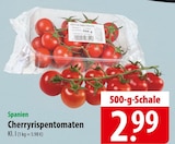 Cherryrispentomaten bei famila Nordost im Falkensee Prospekt für 2,99 €