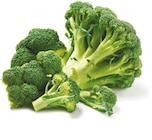 Broccoli bei Netto mit dem Scottie im Brandenburg Prospekt für 1,11 €
