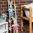 Osterhasen auf Leiter Angebote bei Zimmermann Wolfsburg für 9,99 €