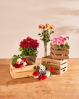 Carrefour Garges-lès-Gonesse - Promo Bouquet Bonne fête Papa Promo Bouquet Bonne fête Papa à 7,99 € dans le catalogue Carrefour à Garges-lès-Gonesse