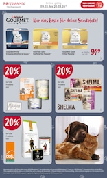Tierfutter im Rossmann Prospekt Online Exklusive Angebote auf S. 5
