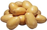 Dtsch. Speisekartoffeln im Angebot bei Kaufland in Neustadt Dtsch. Speisekartoffeln Angebote bei Kaufland Neustadt für 3,00 €