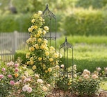 Rankhilfe Angebote bei Thomas Philipps Ulm für 11,11 €