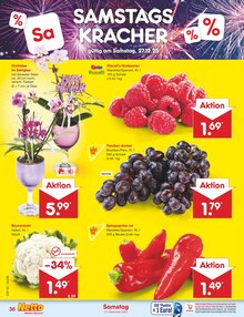 Pflanzen im Netto Marken-Discount Prospekt "Aktuelle Angebote" mit 58 Seiten (Chemnitz)