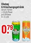 Erfrischungsgetränk Grün von Uludag im aktuellen Trinkgut Prospekt für 0,79 €