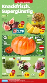 Gemüse im Penny Prospekt in Chemnitz Aktueller Penny Prospekt mit Gemüse, "Wer günstig will, muss Penny.", Seite 4