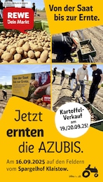 REWE Prospekt "Dein Markt" für Berlin, 34 Seiten, 15.09.2025 - 20.09.2025