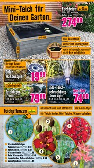 Pflanzen im Hornbach Prospekt "Den besten Preis kann nur anbieten, wer ihn wirklich hat." mit 32 Seiten (Nürnberg)