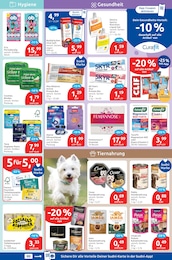 Unterwäsche Angebot & Preis im aktuellen budni Prospekt Unterwäsche Angebot im aktuellen budni Prospekt auf Seite 5