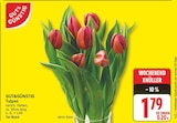 Tulpen von GUT&GÜNSTIG für 1,79 € bei EDEKA im Angebot Tulpen von GUT&GÜNSTIG im aktuellen EDEKA Prospekt