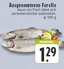 Ausgenommene Forelle Angebote bei E center Rheda-Wiedenbrück für 1,29 €