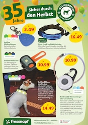 Aktueller Fressnapf Prospekt mit Spielwaren, "35 Jahre - Pfoten hoch, Preise runter!", Seite 9