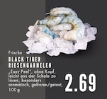 Aktuelle Garnelen Angebote bei E center in Gelsenkirchen Aktuelles BLACK TIGER RIESENGARNELEN Angebot bei E center in Gelsenkirchen ab 2,69 €