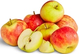Aktuelles Deutsche rote Äpfel Angebot bei Penny in Göttingen ab 2,29 €