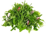 Wildkräuter Salat im Angebot bei REWE in Karlsruhe Wildkräuter Salat Angebote von REWE Beste Wahl bei REWE Karlsruhe für 1,11 €