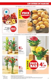 Plante Verte Angebote im Prospekt "Super U" von Super U Plante Verte Angebote im Prospekt "Super U" von Super U auf Seite 13