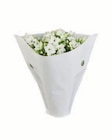 Kalanchoe in Mini-Tüte im aktuellen Lidl Prospekt