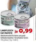 Aktuelles Cat Pastete Angebot bei Zookauf in Hagen (Stadt der FernUniversität) ab 0,99 €