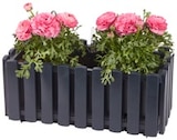 Blumenkasten LANDHAUSSTIL im Angebot bei Penny in Oranienburg Blumenkasten LANDHAUSSTIL Angebote von Prosperplast bei Penny Oranienburg für 3,99 €