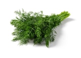 Lidl - Dill Angebot im Prospekt Dill bei Lidl im Prospekt "" für 1,39 €