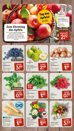 Blumen im nahkauf Prospekt in Bamberg Aktueller nahkauf Prospekt mit Blumen, "nichts liegt näher", Seite 3