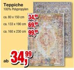 Teppiche Angebote bei Die Möbelfundgrube Saarbrücken für 34,99 €