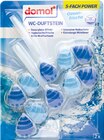 Steine im Rossmann Prospekt WC-Duftsteine 5-fach Power von Domol im aktuellen Rossmann Prospekt für 1,36 €