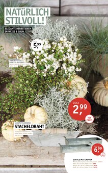Kuchen im ROSENGUT Langerwisch Prospekt "NATÜRLICH STILVOLL!" mit 12 Seiten (Potsdam)