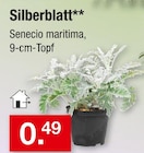 Silberblatt für 0,49 € bei Zimmermann im Angebot Silberblatt im aktuellen Zimmermann Prospekt