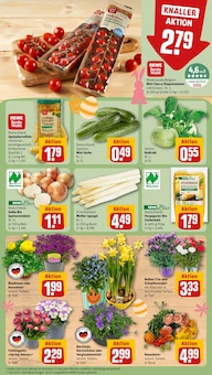 Kohlrabi im aktuellen REWE Prospekt (Stuttgart) Kohlrabi im REWE Prospekt "Dein Markt" mit 22 Seiten (Stuttgart)