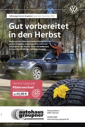 Aktueller Volkswagen Werkstatt & Auto Prospekt in Borsdorf und Umgebung, "Mit frischen Reifen durch den Herbst" mit 1 Seite, 01.09.2024 - 30.11.2024