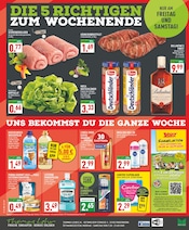 Tierfutter im Marktkauf Prospekt in Paderborn Aktueller Marktkauf Prospekt mit Tierfutter, "Aktuelle Angebote", Seite 16