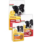 SUR TOUTES LES CROQUETTES POUR GRANDS CHIENS - CARREFOUR COMPANINO en promo chez Carrefour Market Avignon