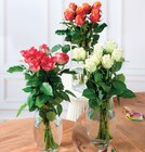 Bouquet de 7 roses Africado - U Express à Argenteuil Bouquet de 7 roses Africado en promo chez U Express Argenteuil à 6,99 €