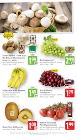 Aktueller EDEKA Prospekt mit Pilze, "Aktuelle Angebote", Seite 2