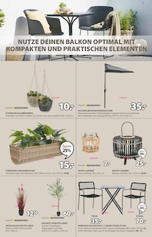 Gartenpflanzen im JYSK Prospekt "OUTDOOR LIVING SPARE BIS ZU 50%" mit 17 Seiten (Cottbus)