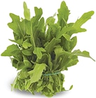 Rucola für 1,92 € bei METRO im Angebot Rucola im aktuellen METRO Prospekt