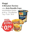 5 Minuten Terrine von Maggi im aktuellen V-Markt Prospekt für 0,99 €