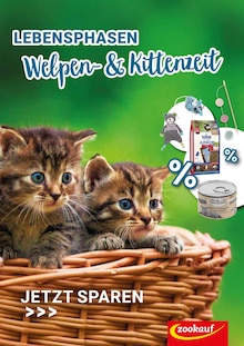 Zookauf Prospekt LEBENSPHASEN - Welpen- & Kittenzeit mit  Seite in Hannover und Umgebung