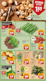 Blumen im REWE Prospekt in Hanau Aktueller REWE Prospekt mit Blumen, "Dein Markt", Seite 9