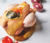 Poule à Colruyt dans Rosselange Poule à Colruyt dans Rosselange