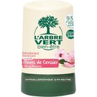 Déodorant à bille - L'ARBRE VERT en promo chez Carrefour Déodorant à bille - L'ARBRE VERT dans le catalogue Carrefour