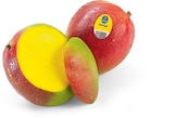 Netto Marken-Discount - Mango Angebot im Prospekt Mango bei Netto Marken-Discount im Prospekt "" für 0,99 €
