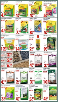 Pflanzenerde im Wreesmann Prospekt "DEIN SAISON- & SONDERPOSTENMARKT!" mit 20 Seiten (Dresden)
