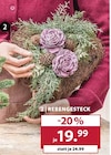 Deko Blumen im Dehner Garten-Center Prospekt REBENGESTECK im aktuellen Dehner Garten-Center Prospekt für 19,99 €
