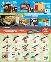 Ähnliche Tulpen Angebote im Prospekt "DAS BESTE DER WOCHE" von EDEKA in Straubing Ähnliche Angebote wie Tulpen im Prospekt "DAS BESTE DER WOCHE" auf Seite 11 von EDEKA in Straubing