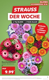 Kaufland Rose im Prospekt 